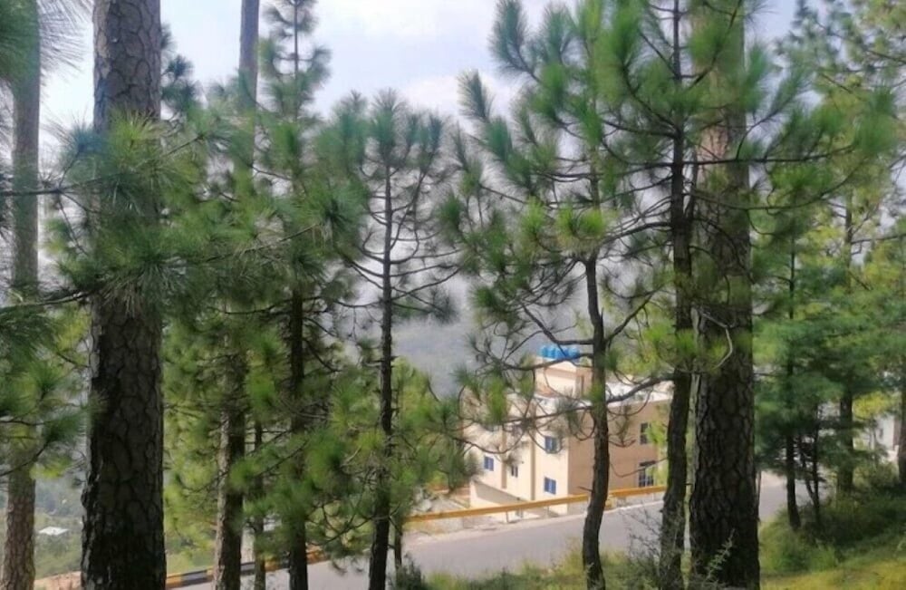 Miramonte Lodges