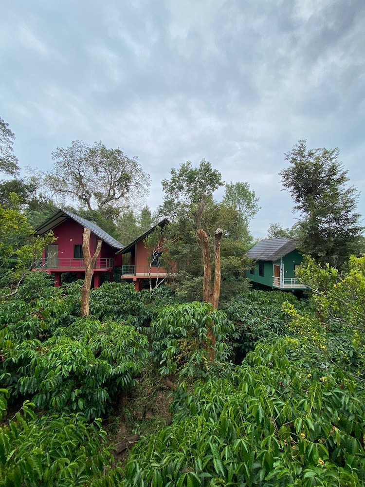 The Rain Tree Resort