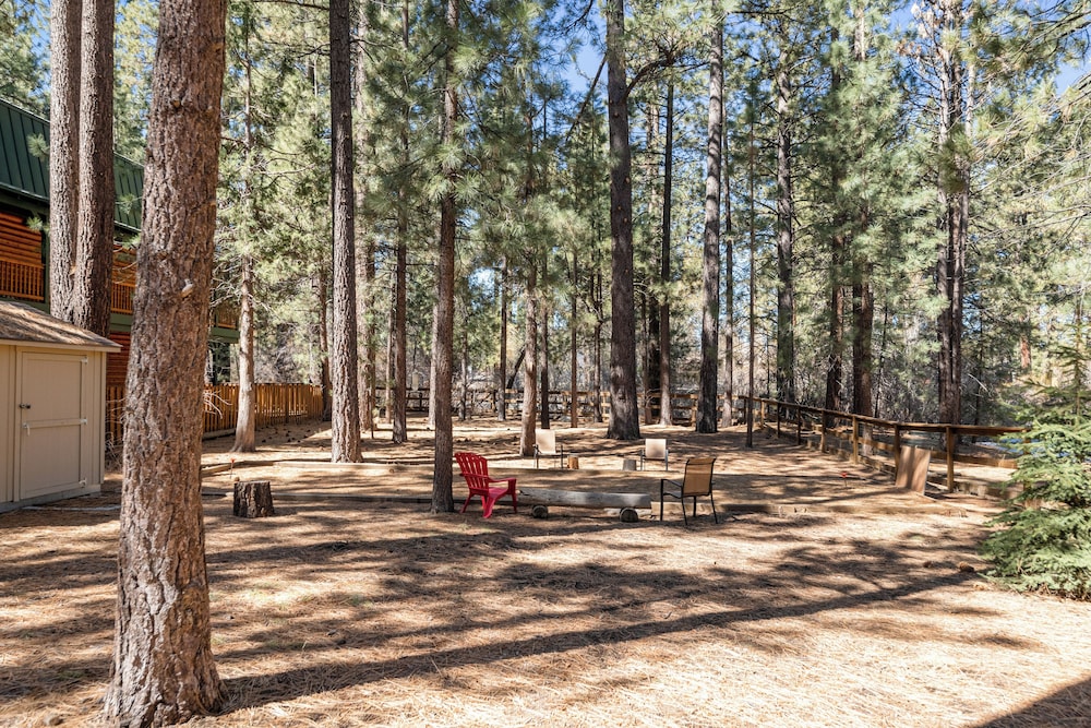 Catalina Creekside Cabin