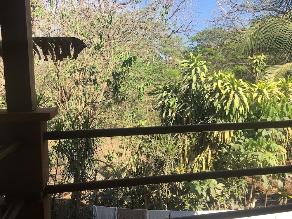 Casa Zen