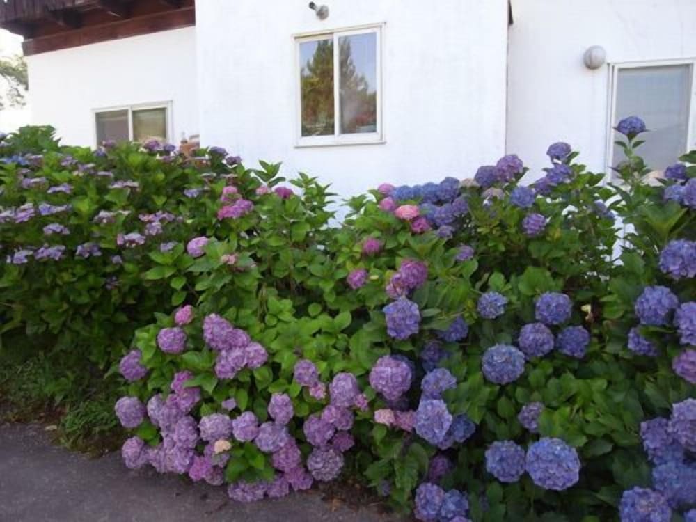 Guest House Vingt-neuf