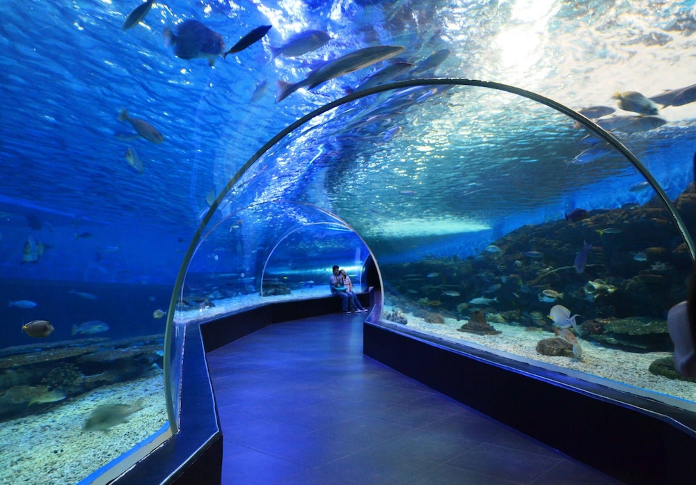 Azure Urban Resort Staycation