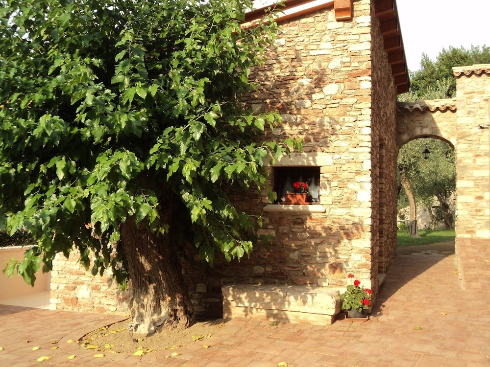 Photo 31