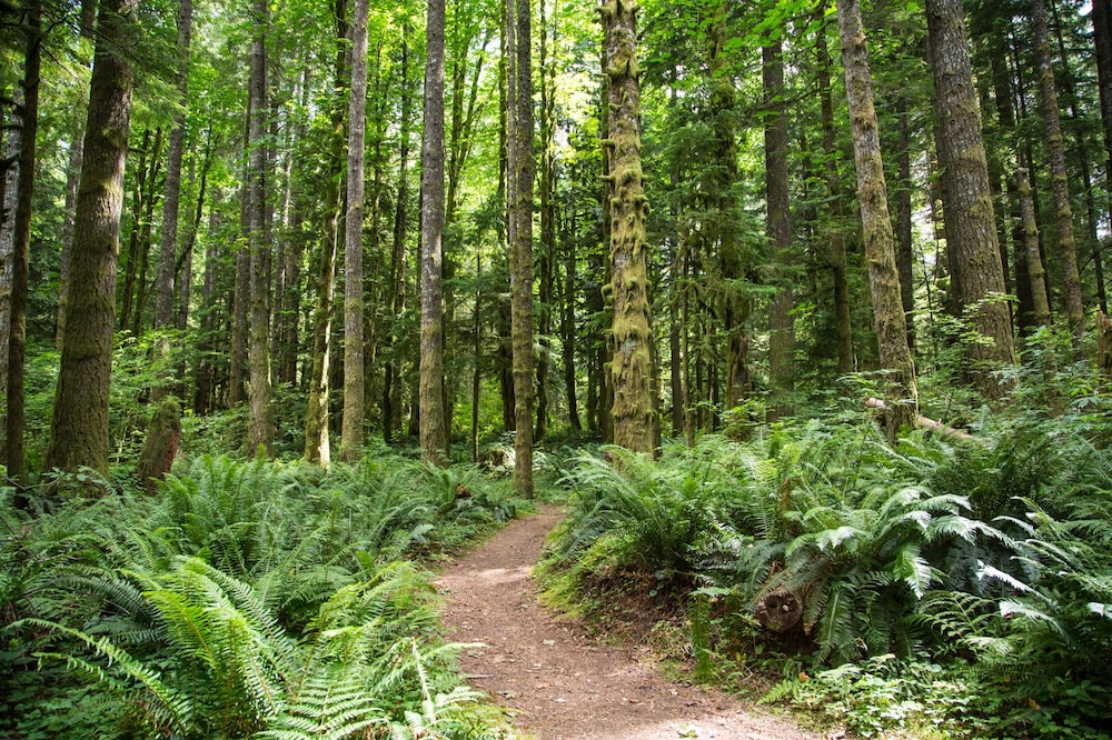 Mt Hood Village RV Resort