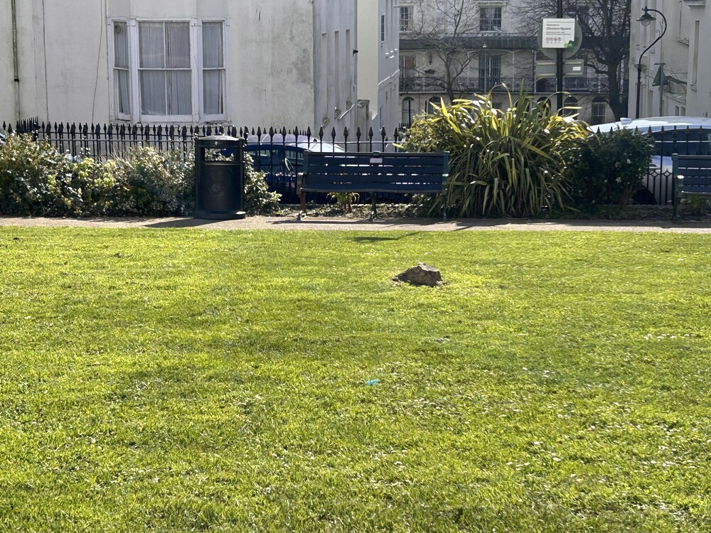 Brighton Beach Stylish 1 Bed Apartment view 5