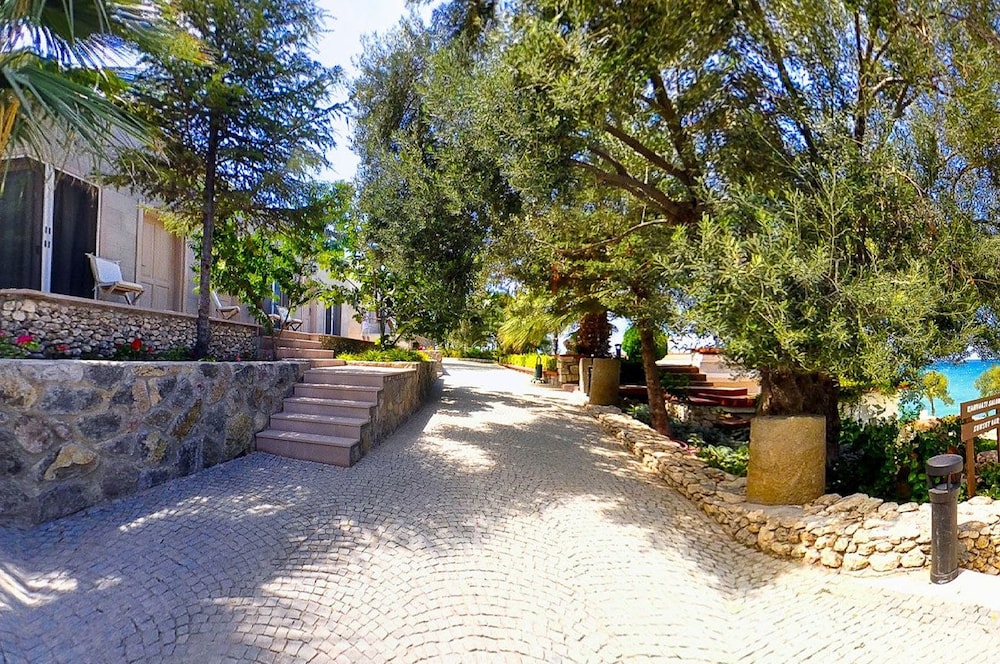Photo 46