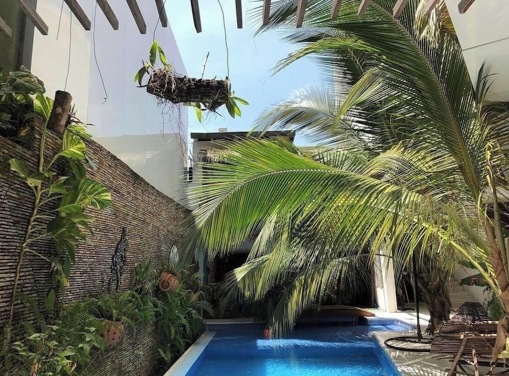 Pool & Wellness