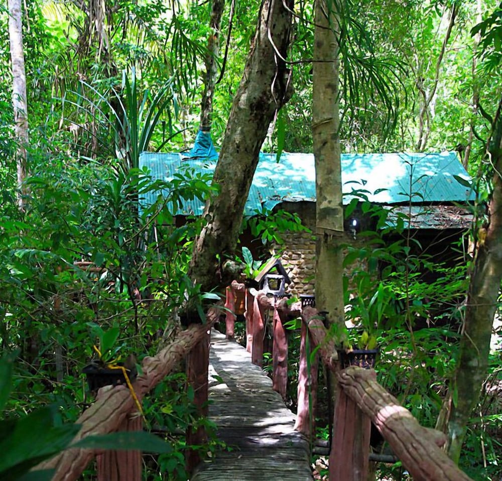 Khao Sok Tree House