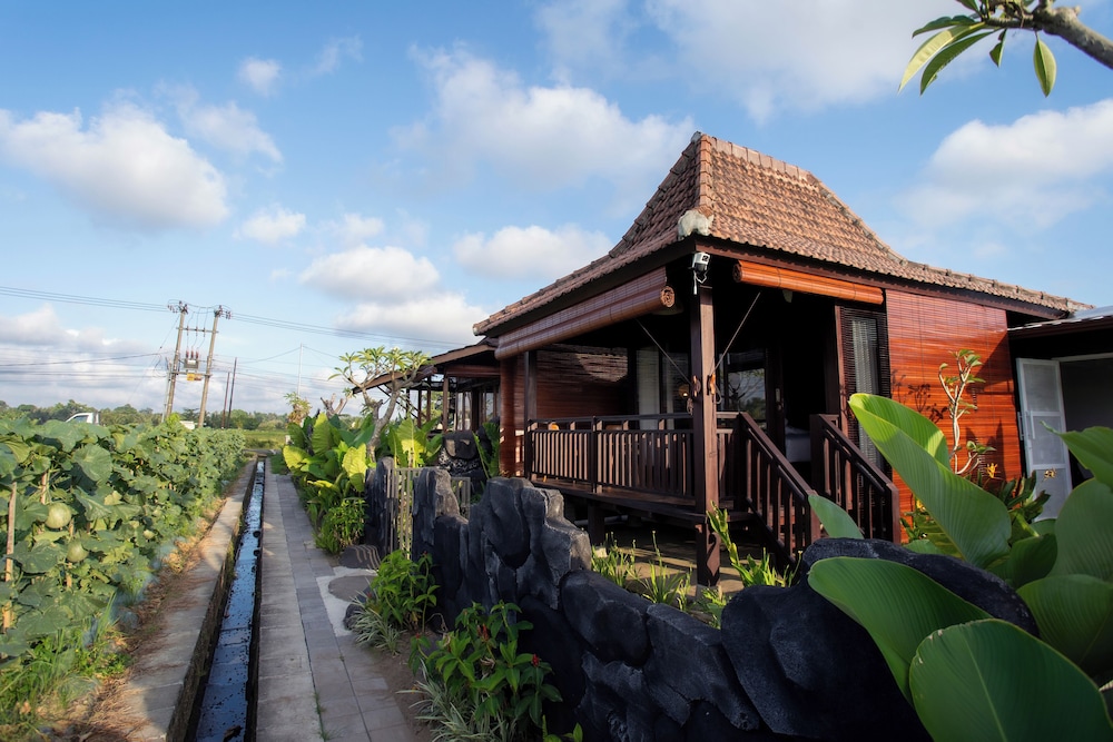 Sun Harvest Bali