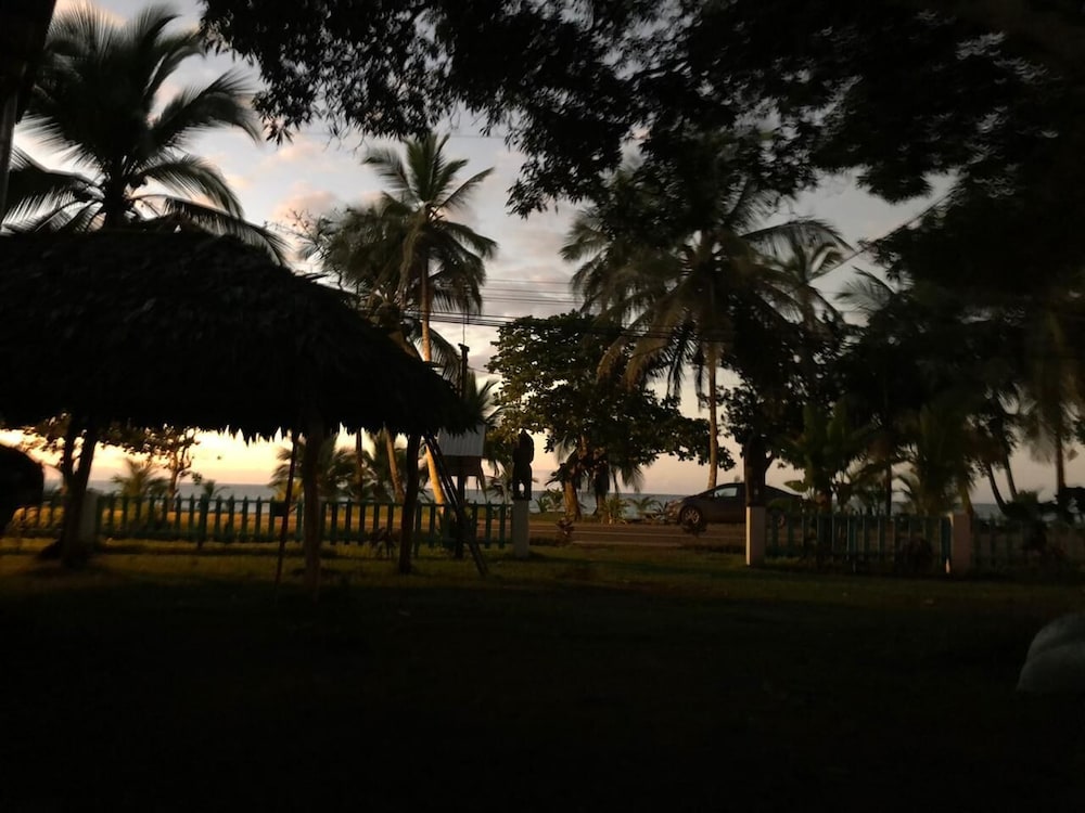 Photo 42