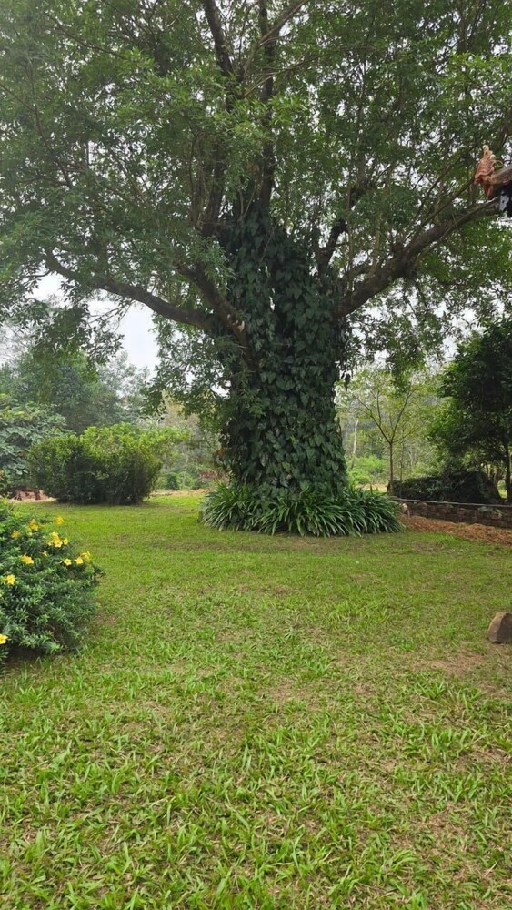 Highland Estate Heritage Homestay