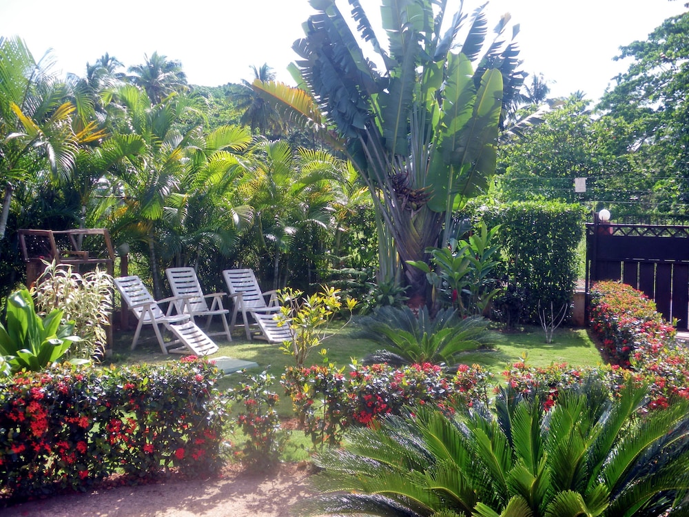Casa Lily & Coco
