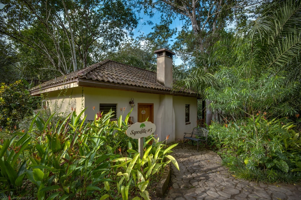 Belize Vacations - Mystic River Resort - Property Image 3