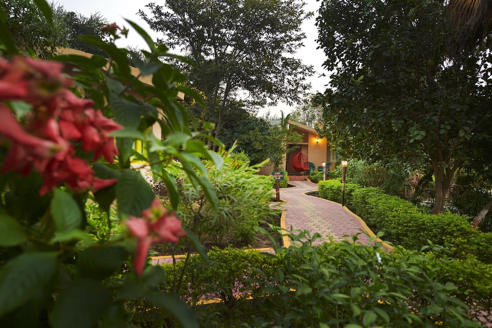 Aacorn Hideaway Resort & Spa