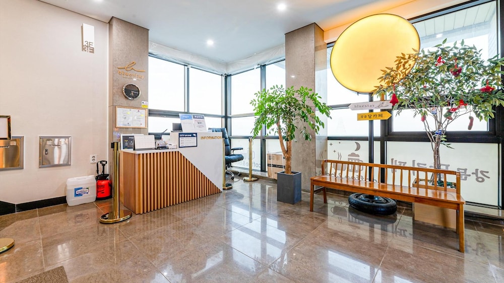 Gangneung Bluestay