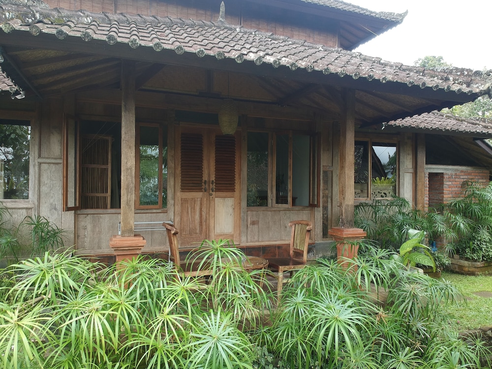 Hotel Bali Mountain Retreat - Image 1