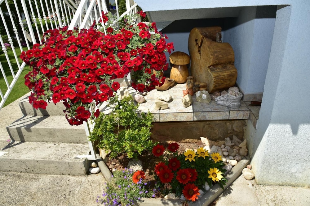 Photo 7