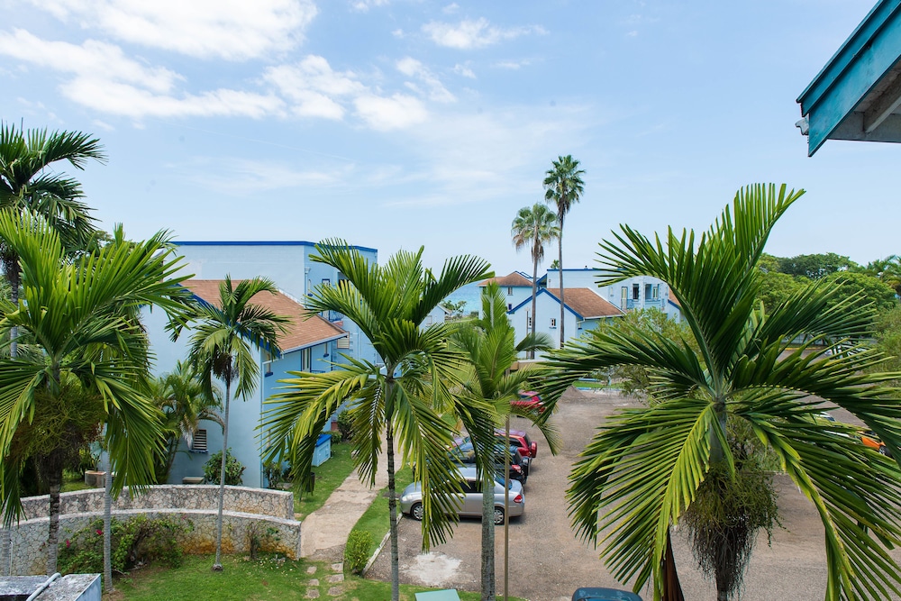 Mango Beach Studio
