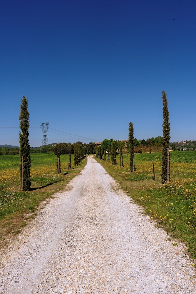 Agriturismo Le Beringhe photo 4