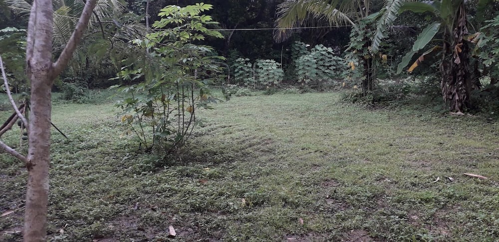 Photo 31