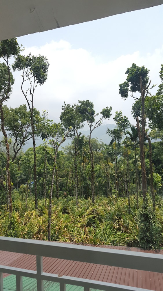 Tree Blanche Munnar
