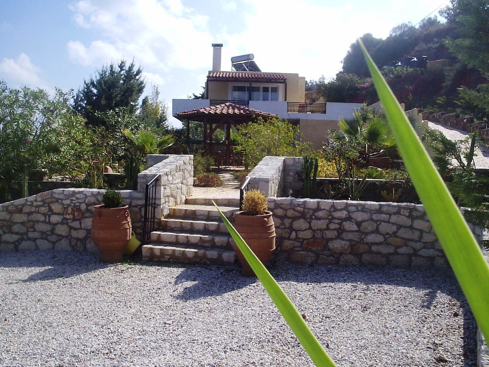 Photo 12