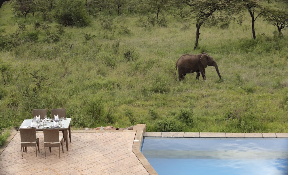Spirit Of The Masai Mara