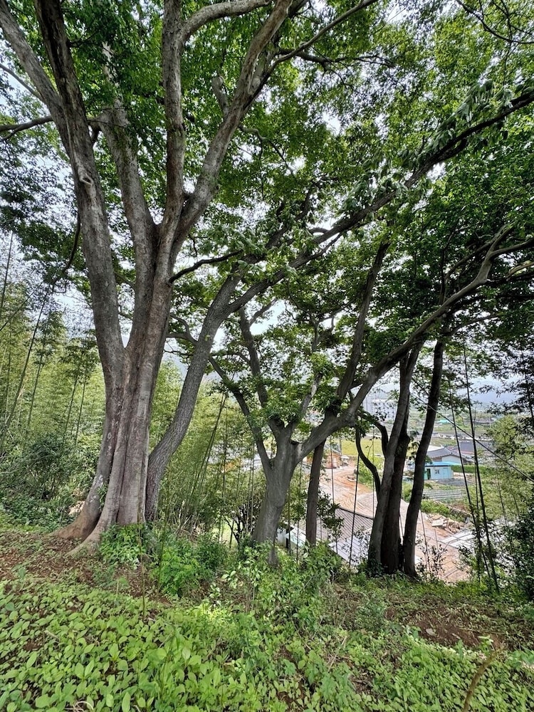 Jukrokjungsa hanokstay