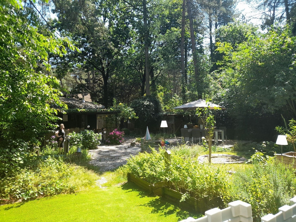 Oud-turnhout Nature Chalet