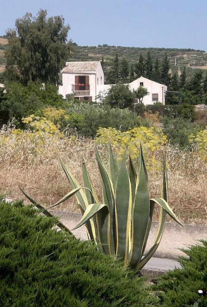 Photo 44
