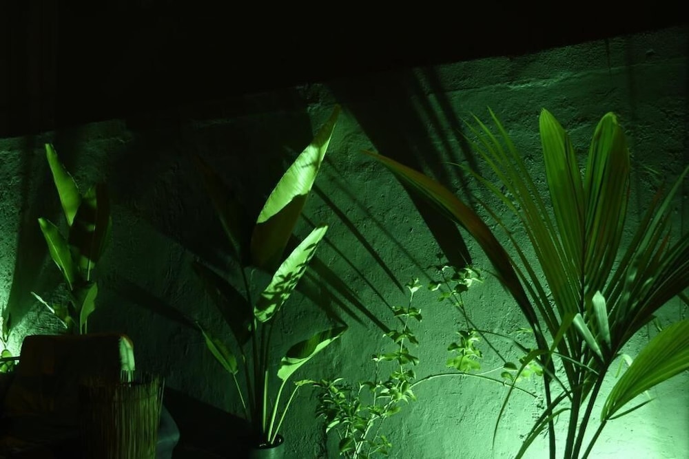 Photo 40