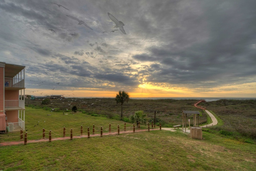 Seaside Escape by Avantstay Ocean View, Pool