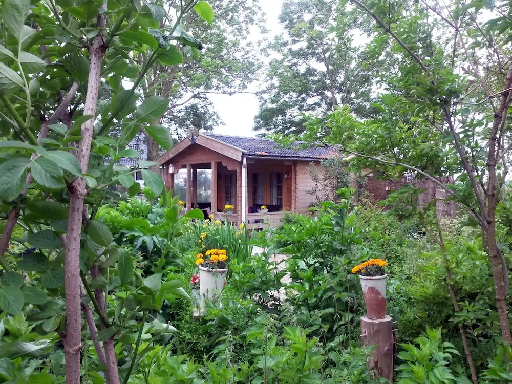 Bed and Breakfast De Pauw