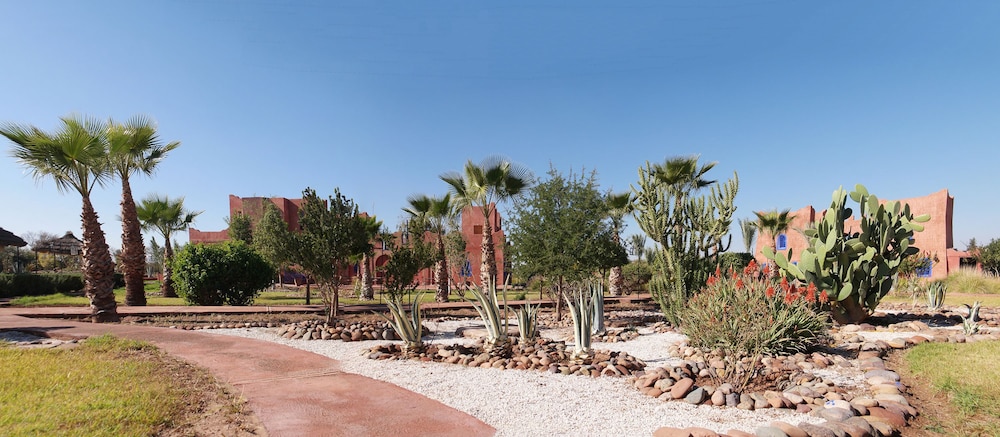 Riad Beloiseau