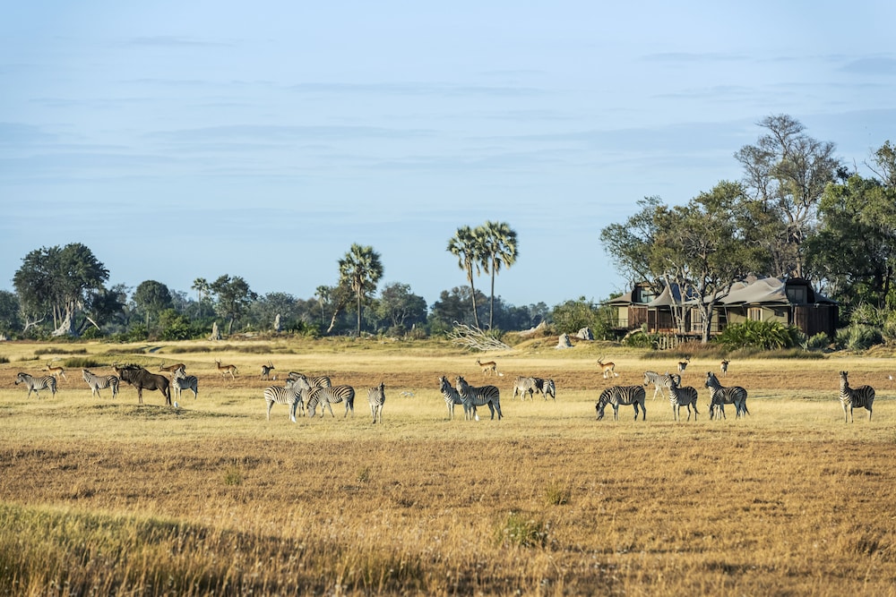 Xigera Safari Lodge view 4