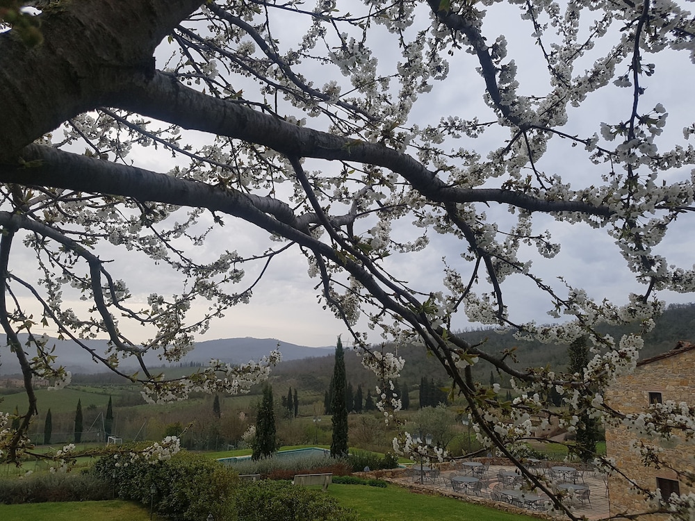 Poggio Cennina Resort