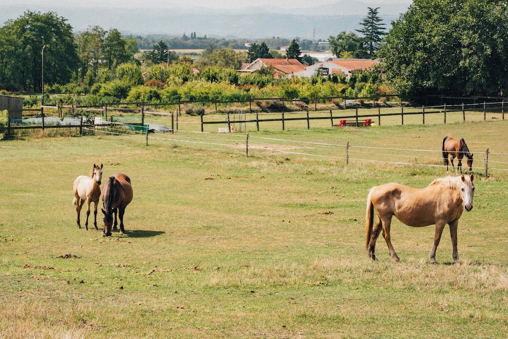 Domaine de cozance