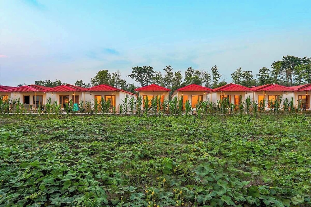 Corbett Tranquil Tigers Resort