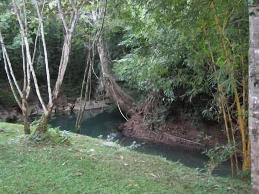 Creekside Oasis - Property Image 12