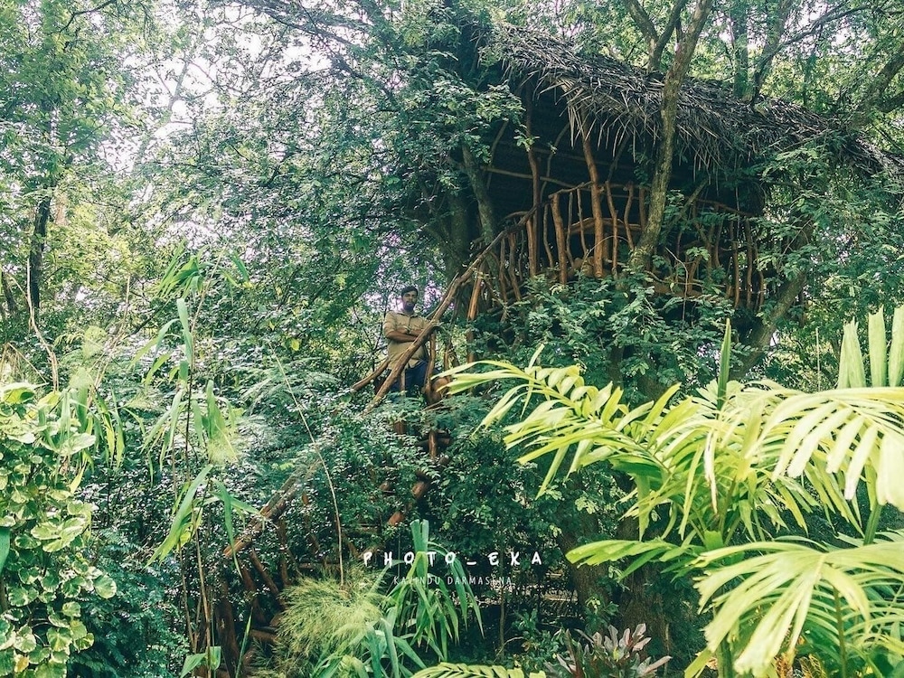 Woodland Sanctuary