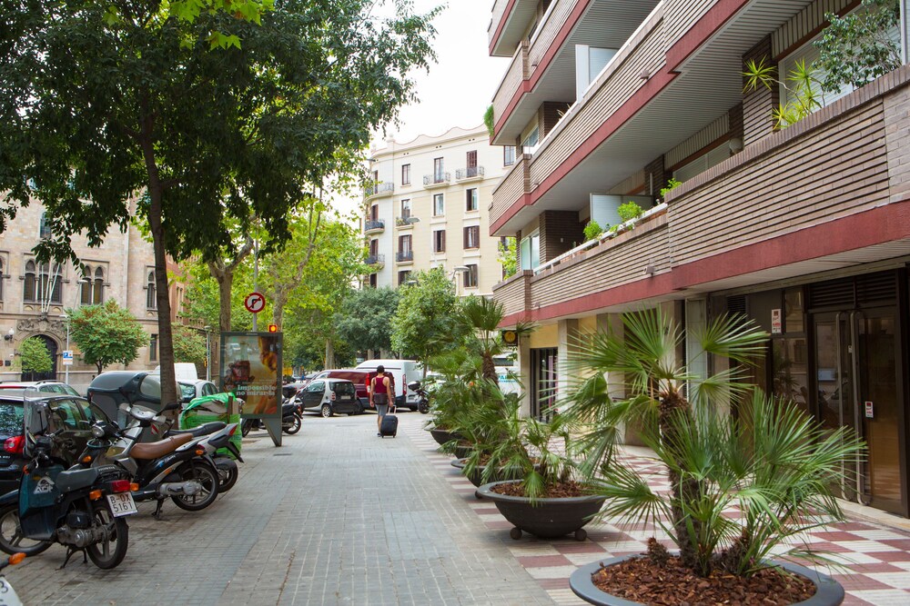 Apartment With Large And Private Terrace