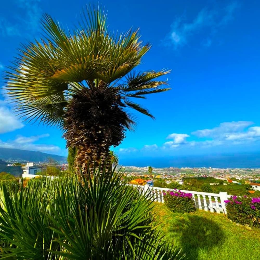 Villa in La Orotava 7 Bedrooms 1 bed 7 Baths