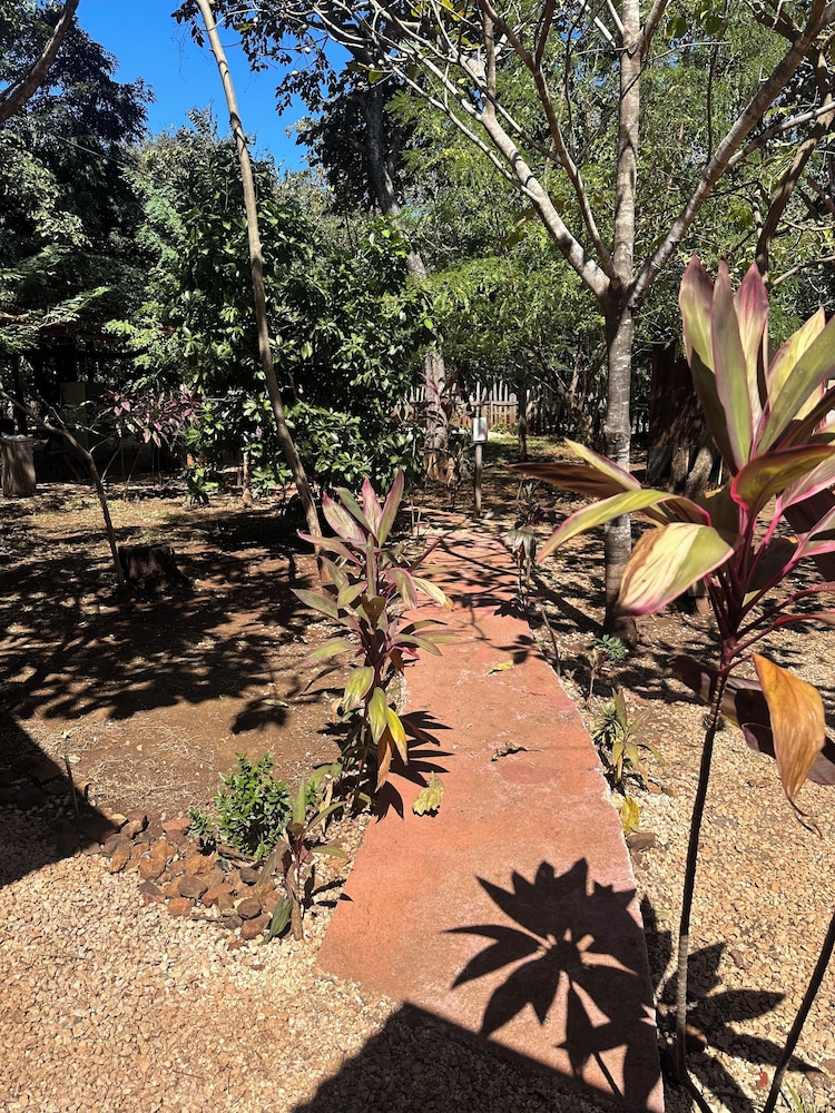 Finca Avellanas
