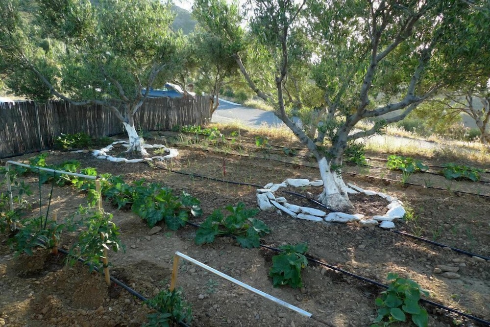 Bellair Village