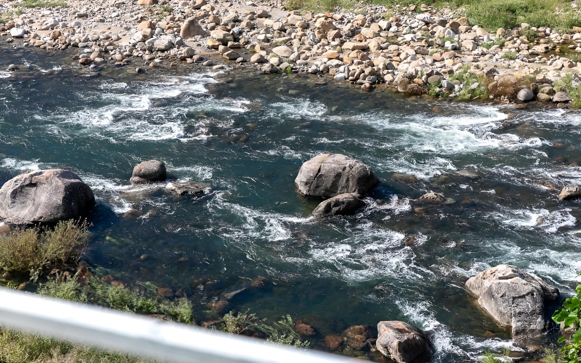 Photo 43