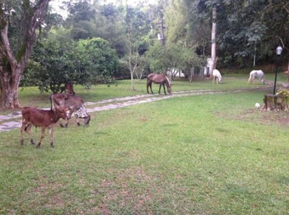 Angico Hotel Fazenda