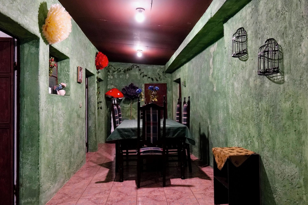 Wonderland Hostel