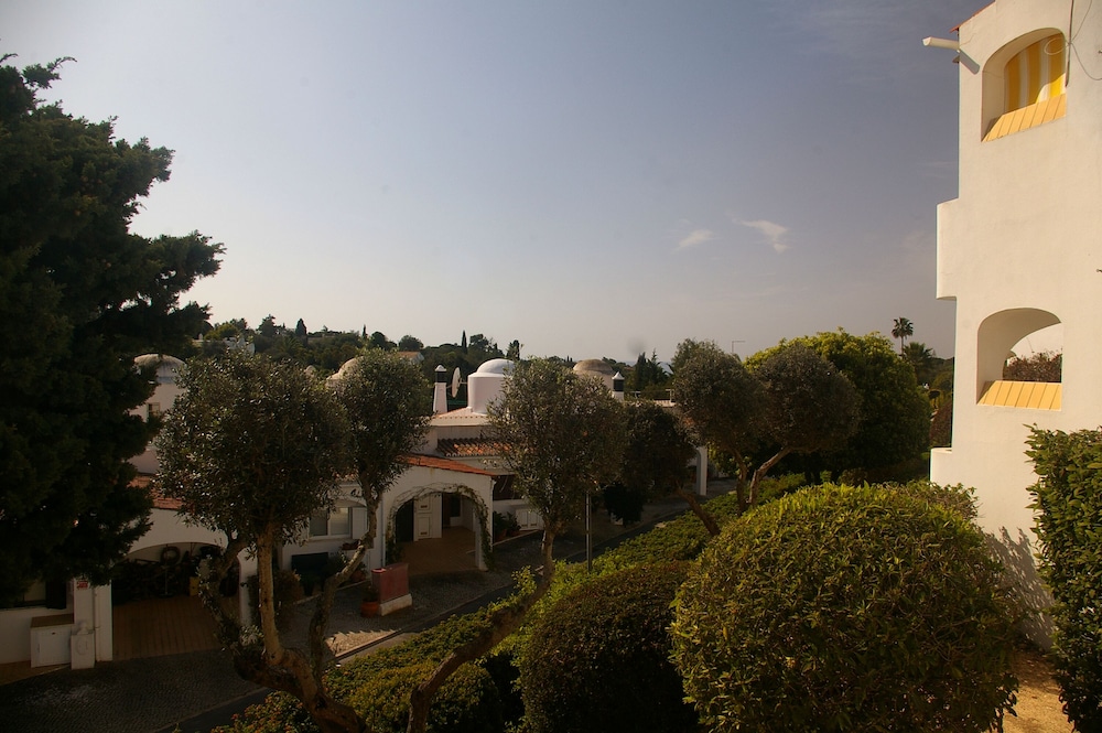 Photo 41