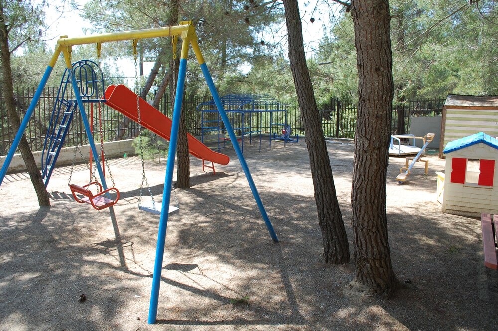Photo 8