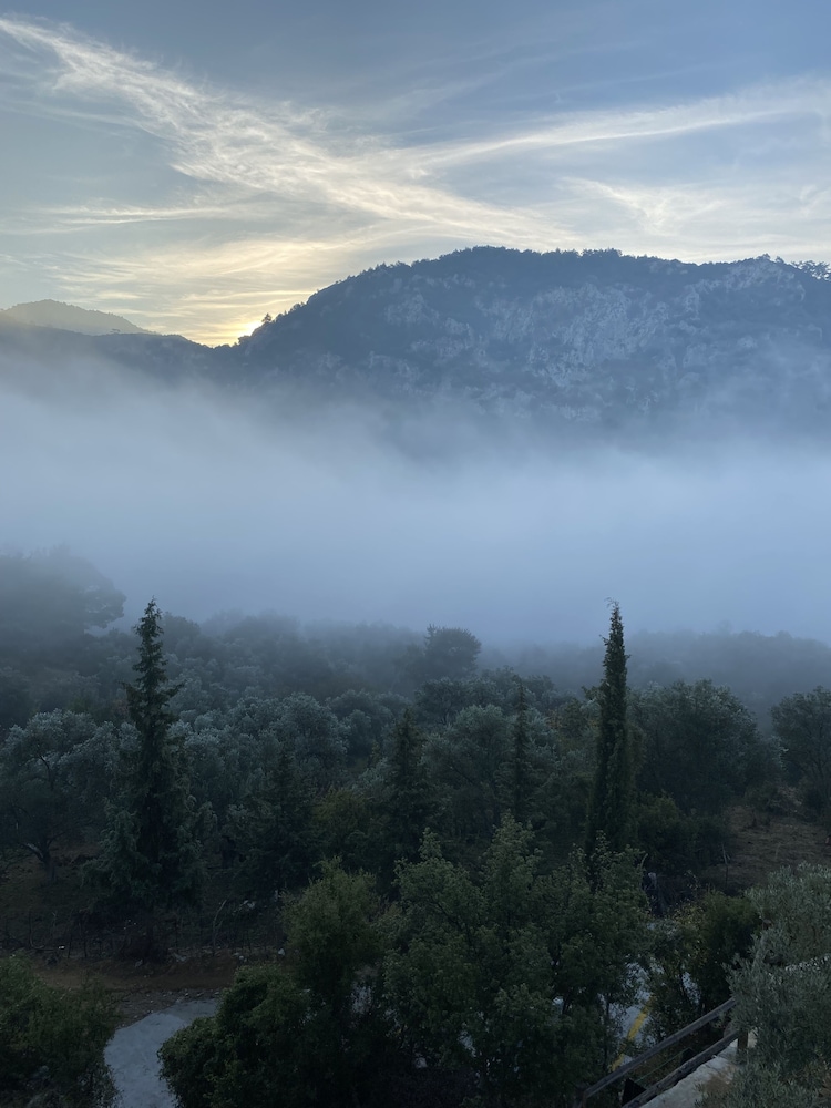 Five Senses Bodrum Glamping view 5